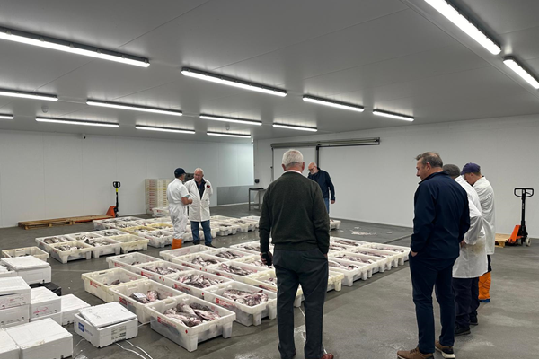 Grimsby Fish Merchants Association attend opening of Fleetwood Seafood ...